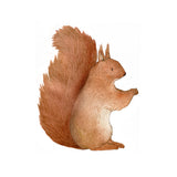 Eekhoorntje Muursticker