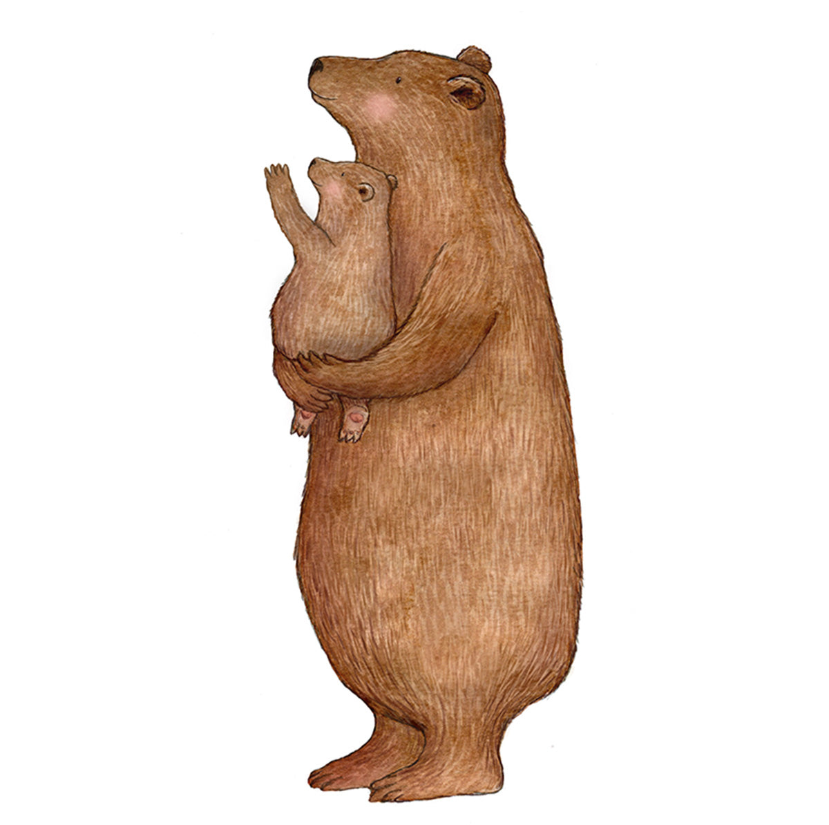 Baby & Bear wall decal by Hartendief – watercolor illustration, 48 x 95 cm