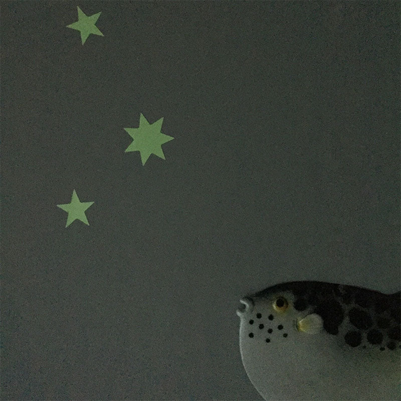 Sterrenstickers Glow in the Dark van Hartendief in een sfeervol donkere kinderkamer met decoratieve kogelvis