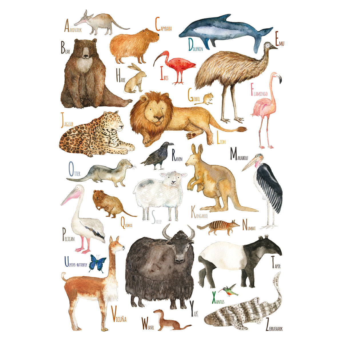 Dieren ABC (EN) poster van Hartendief – 26 aquarel dieren met Engelse namen van A tot Z