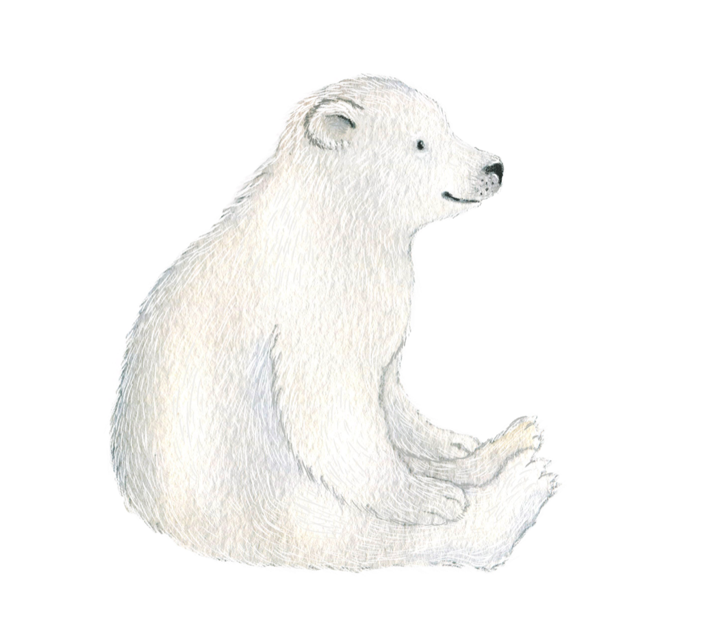 Little Polar Bear wall decal by Hartendief – seated watercolor polar bear on a white background