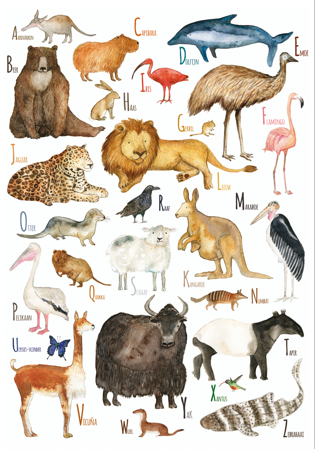 Dieren ABC (NL) poster van Hartendief – 26 aquarel dieren met Nederlandse namen van A tot Z