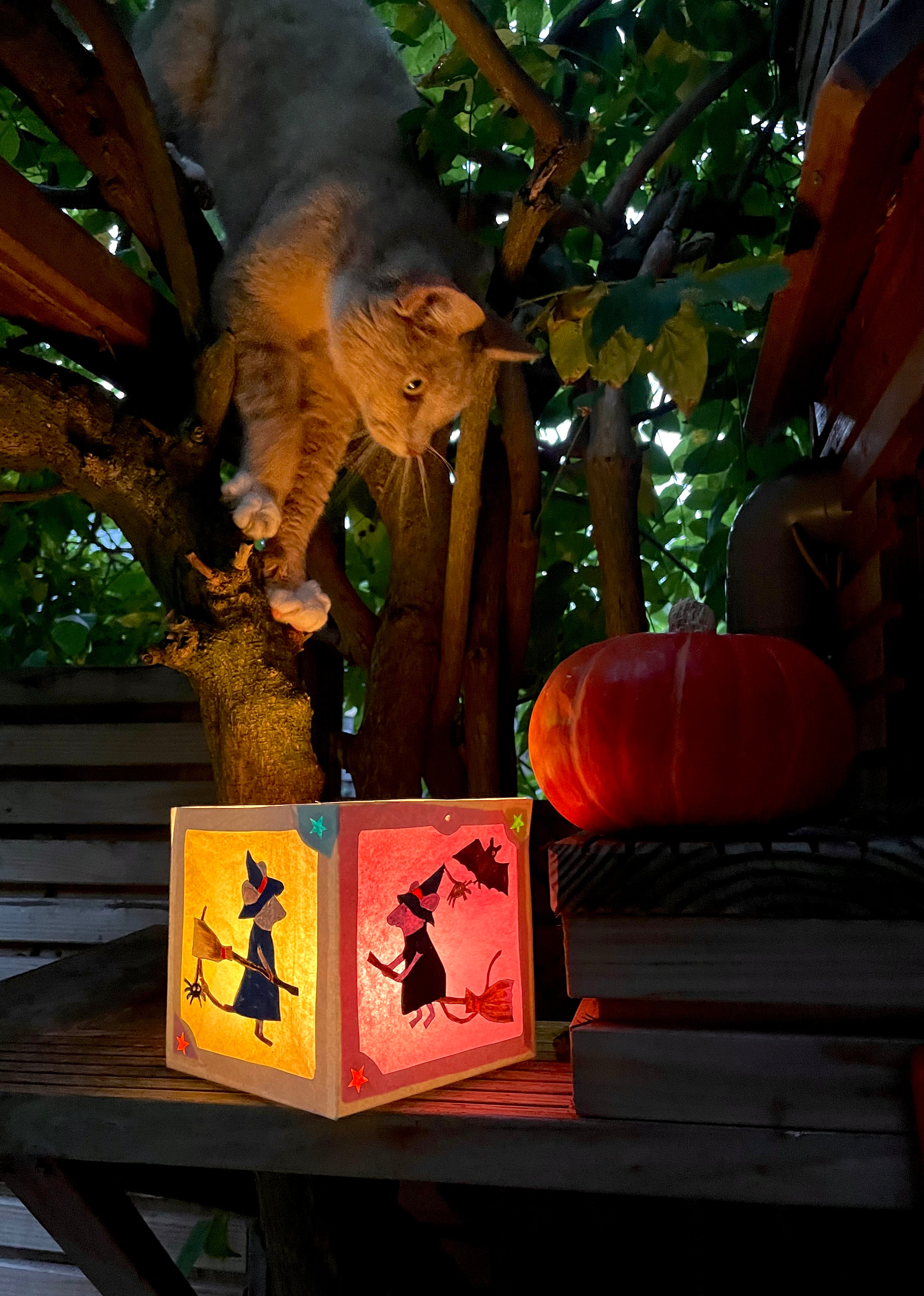 Paper lantern – printable craft kit