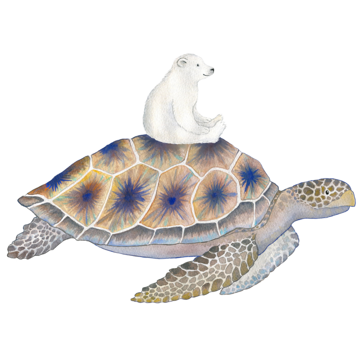 Turtle and Little Polar Bear wall decal by Hartendief – two separate watercolor stickers on one sheet, 48 x 58 cm